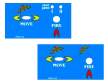 GRAPHC OVERLAYS - pair